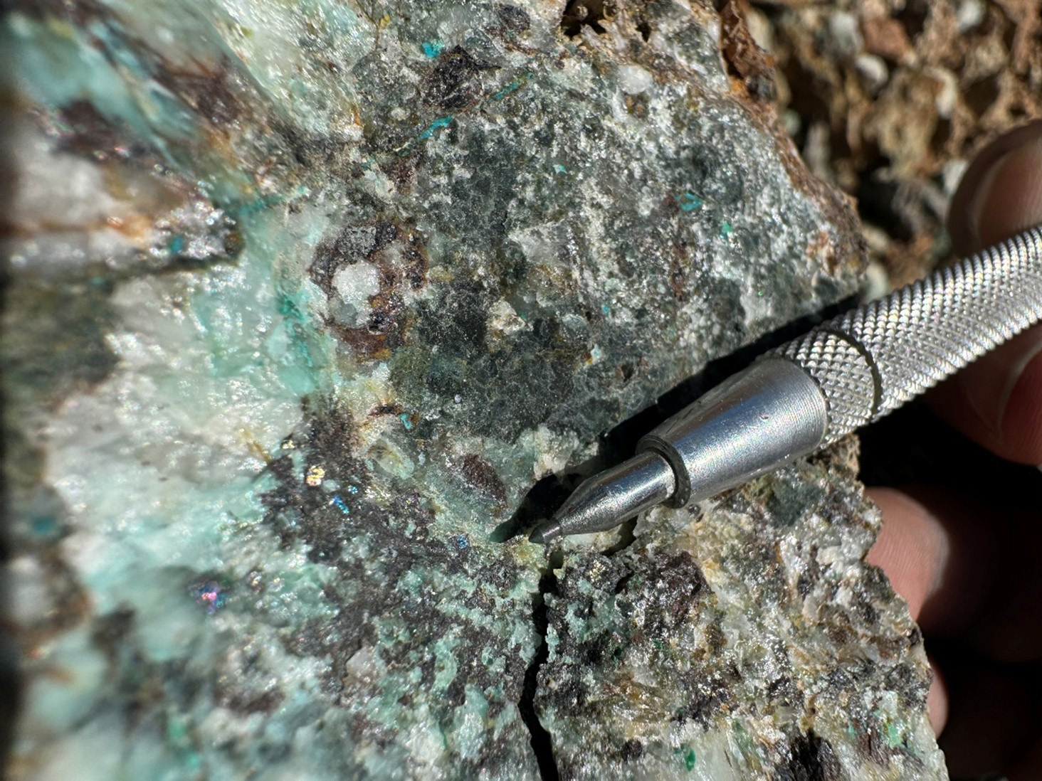 Rock sample with Chalcopyrite and Bornite grading 1.36% copper associated with the leach cap.